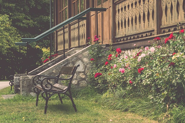 中国国家队 中国国家队