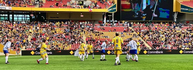 多样化和富 多样化和富