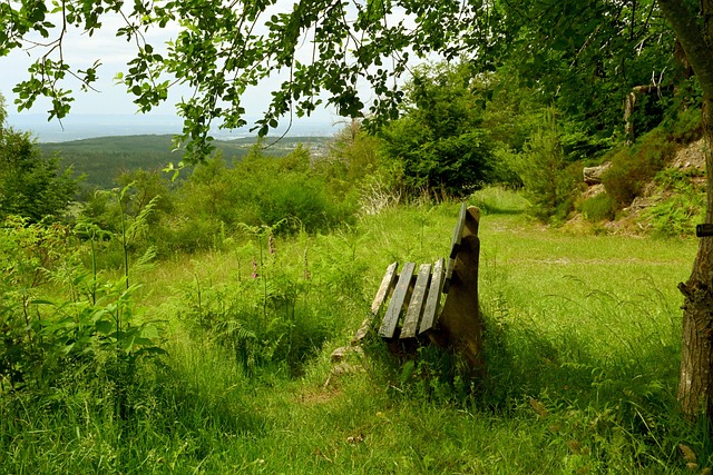 球场上下的 球场上下的