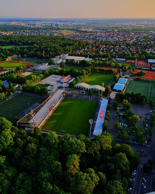 球迷喜爱巴 球迷喜爱巴