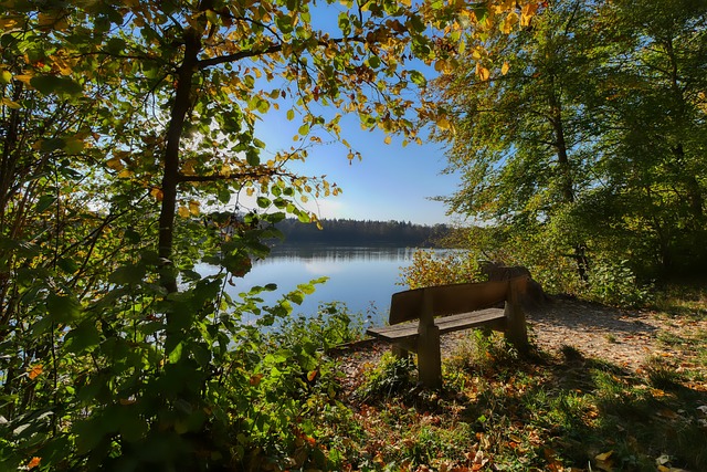 日本队利用 日本队利用